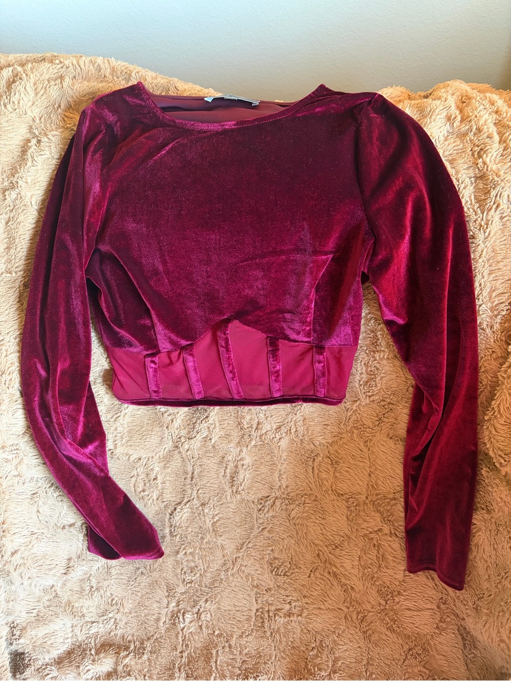 Blue Blush Velvet Long-Sleeve Cropped Top in Wine